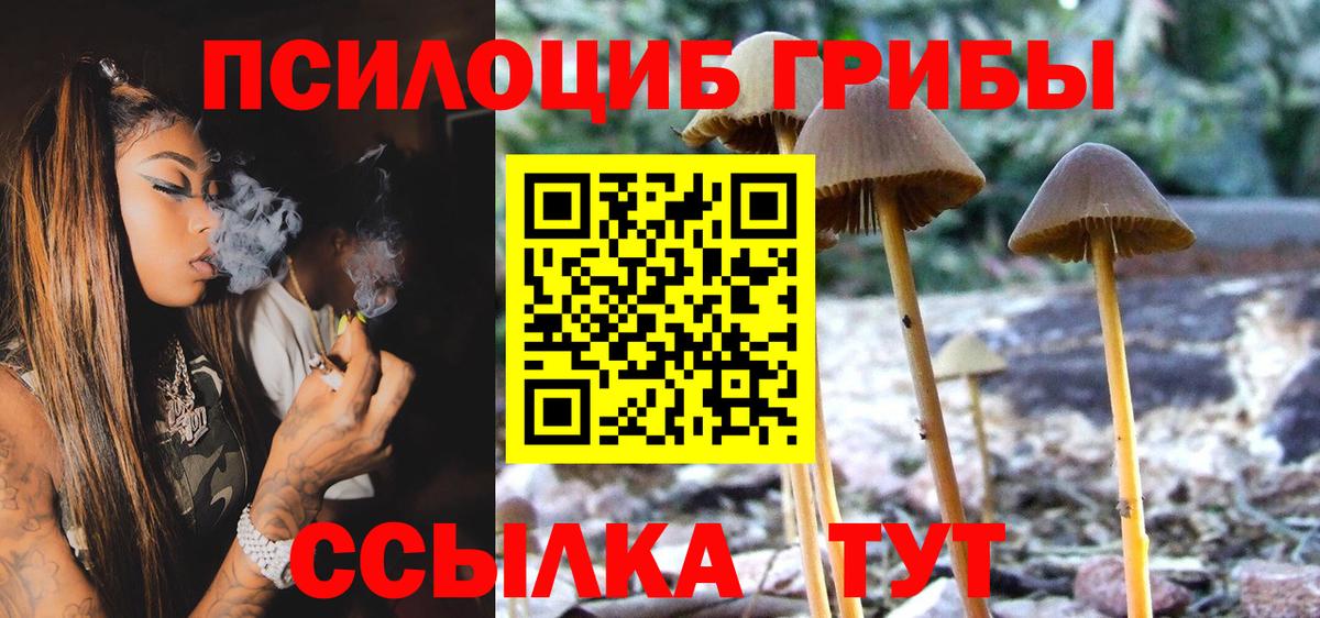 Псилоцибиновые грибы Cubensis Димитровград
