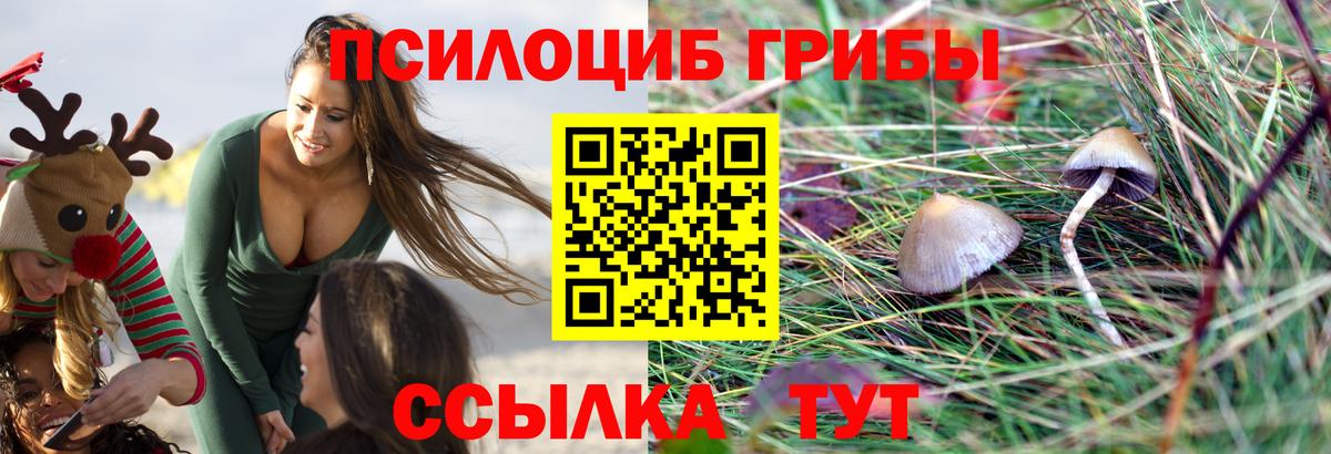 продажа наркотиков  Галлюциногенные грибы MAGIC MUSHROOMS  Вход с VPN  Димитровград 